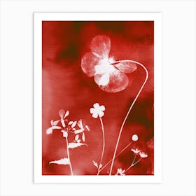 Red Poppies Art Print