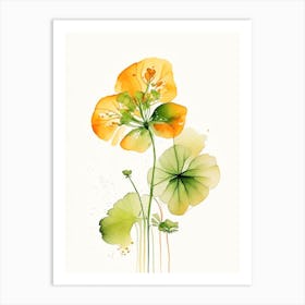 Nasturtium Herb Minimalist Watercolour Art Print