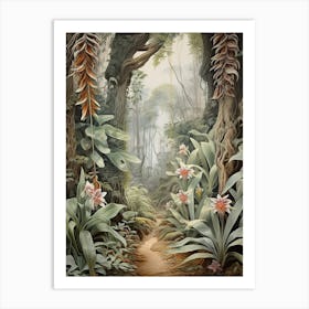 Vintage Jungle Botanical Illustration Vanilla Orchid 2 Art Print