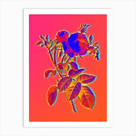Neon Pink Cabbage Rose de Mai Botanical in Hot Pink and Electric Blue n.0036 Art Print