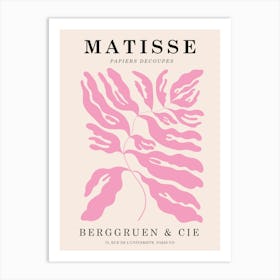 Matisse Botanical Art Print