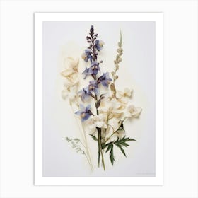 Pressed Flower Botanical Art Veronica Flower 2 Art Print