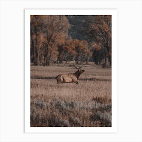 Elk Running Through Field Art Print