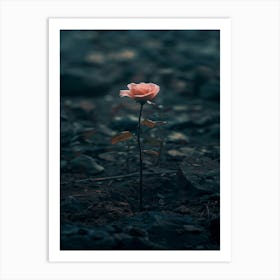 Rose In The Dark 36 Art Print