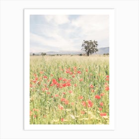 Puglia, Italy I Fields of wild red poppy flowers, natural boho bohemian photography in the Italian countryside of Mediterranean landscapes with a retro vintage pastel green summer aesthetic like in Tuscany Art Print