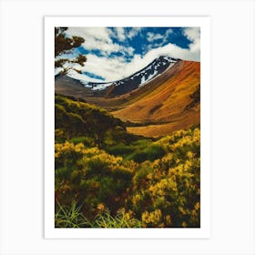 Tongariro National Park New Zealand Vintage Poster Art Print