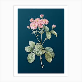 Vintage Pink Rosebush Botanical Art on Teal Blue n.0295 Art Print