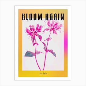 Hot Pink Bee Balm 2 Poster Art Print