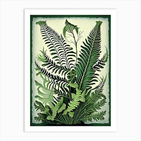 Marsh Fern Vintage Botanical Poster Art Print