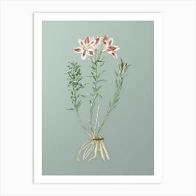 Vintage Lily of the Incas Botanical Art on Mint Green n.0593 Art Print