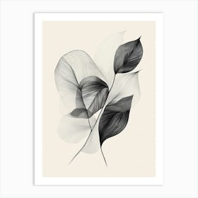 Black And White Leaves 4 Art Print