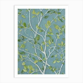 Quaking 2 Aspen Hybrid tree Vintage Botanical Art Print