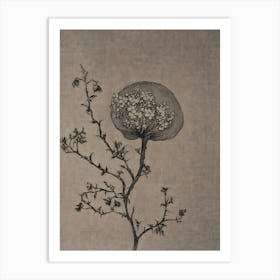 Chinese Flower 1 Art Print