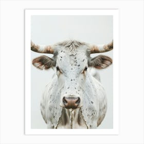 Longhorn Bull Portrait Art Print