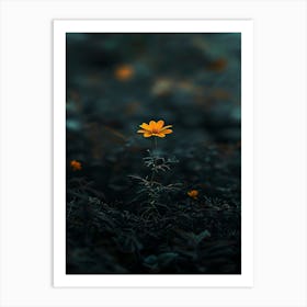 Single Flower In The Dark 72 Art Print