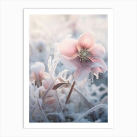 Frosty Botanical Hellebore 3 Art Print