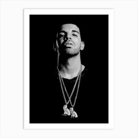 Drake 2 Art Print