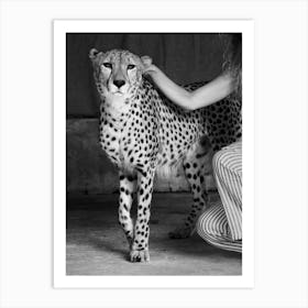Friendly Cheetah - Wild Animal Photograph - Photographs - Photography Art Print