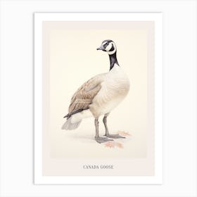 Vintage Bird Drawing Canada Goose 2 Poster Art Print