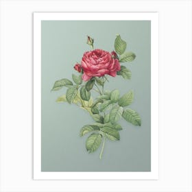 Vintage Red Gallic Rose Botanical Art on Mint Green n.0342 Art Print