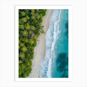 Aerial View Of A Tropical Beach 22 Art Print