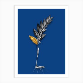 Vintage Angular Solomons Seal Black and White Gold Leaf Floral Art on Midnight Blue Art Print
