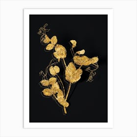 Vintage White Pea Flower Botanical in Gold on Black n.0180 Art Print