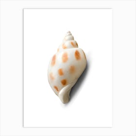 Colored seashells. Seashells. Summer. 5 Art Print