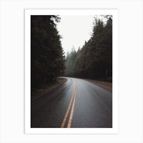 Road Through Forest Art Print