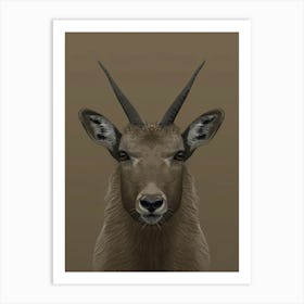 Antelope Head 1 Art Print