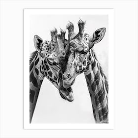 Two Giraffes Pencil Drawing 1 Art Print