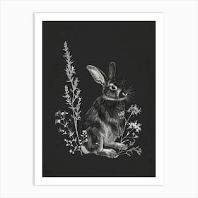 Mini Sable Rabbit Minimal Illustration 4 Art Print