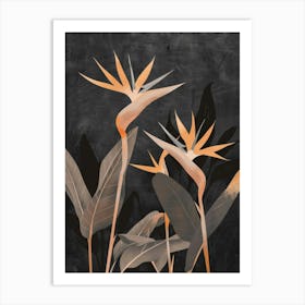 Bird Of Paradise 18 Art Print