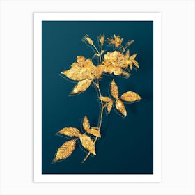 Vintage Hudson Rosehip Botanical in Gold on Teal Blue n.0129 Art Print