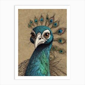 Peacock 18 Art Print