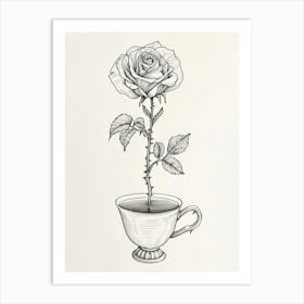 English Rose In A Cup Line Drawing 4 Art Print