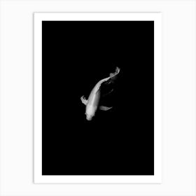 Japanese Koi Carp Black and White Photograph Art Print