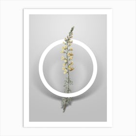 Vintage Adenocarpus Minimalist Flower Geometric Circle on Soft Gray n.0509 Art Print