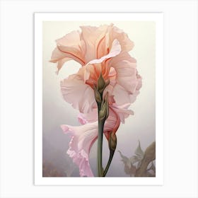 Floral Illustration Gladiolus 1 Art Print