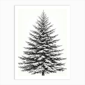 Fir Tree Pencil Sketch Ultra Detailed 5 Art Print