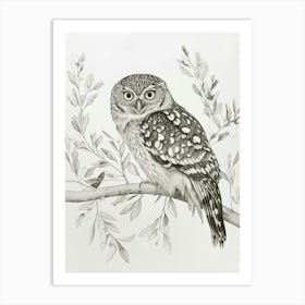 Burmese Fish Owl Drawing 3 Art Print