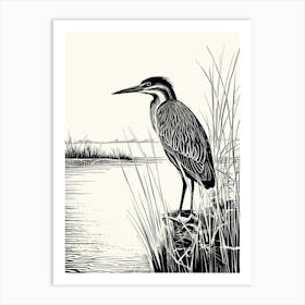 B&W Bird Linocut Green Heron 2 Art Print