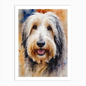 Bearded Collie 1 Art Print