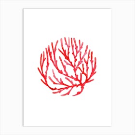 Red Coral 1 Art Print