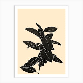 Rubber Plant Art Print