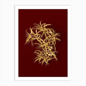 Vintage Common Sea Buckthorn Botanical in Gold on Red n.0173 Art Print