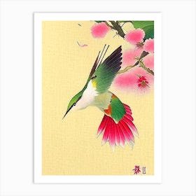 Hummingbird Japanese 2, Ukiyo E Style Art Print