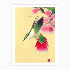 Hummingbird Japanese 2, Ukiyo E Style Póster