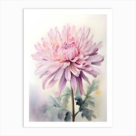 Pink Chrysanthemum Flower Art Print