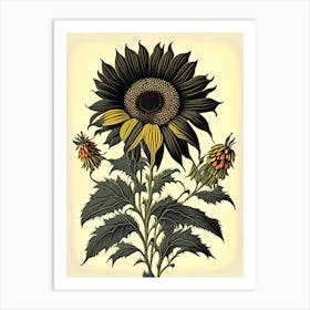 Rudbeckia Floral 1 Botanical Vintage Poster Flower Art Print